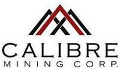 Calibre Mining Receives Primary Sampling Results from Borosi Concessions in Nicaragua