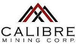 Calibre Mining Reports Phase II Additional Results from Riscos de Oro Project
