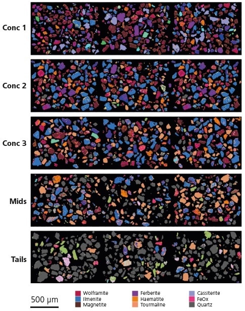 Selected fields of analyzed particles within each shaking table product, visually displaying changes in mineralogy. Note that, for clarity, only key mineral phases are displayed in the legend.