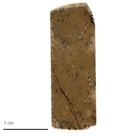 “Scout” view of the entire drill core (segmented to show the different mineral groups of silicates and sulfides).