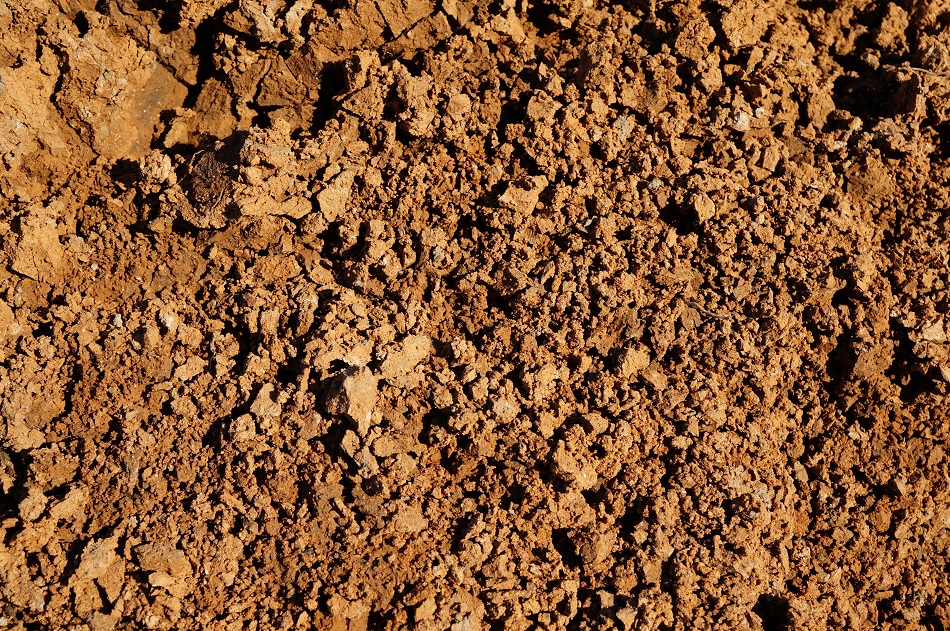 ImageForArticle_1554_15827123399169764.png