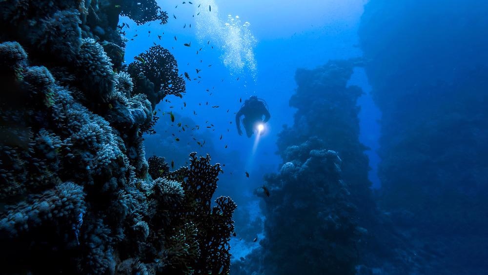deep sea mining