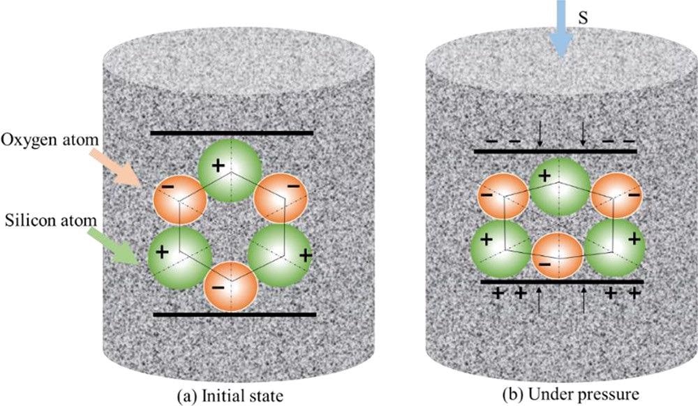 Polarization distribution of charges.