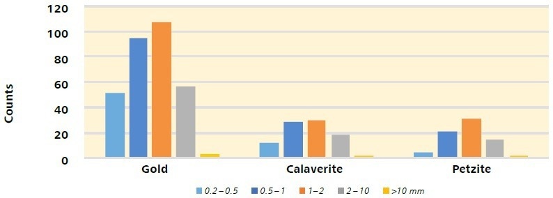 Number of particles per size step for each major Au-bearing phase.