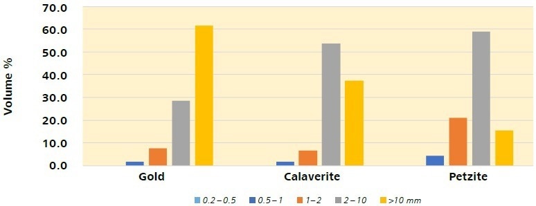 Proportional volume, per mayor gold mineral, for grain sizes between 0.2 to 0.5 µm, 0.5 to 1 µm, 1 to 2 µm, 2 to 10 µm and larger than 10 µm grains.
