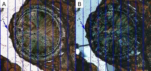 Channel shifts in multichannel data. Blue lines show the image grid with structures in plane polarized data (A) slightly to the left of cross polarized data (B).