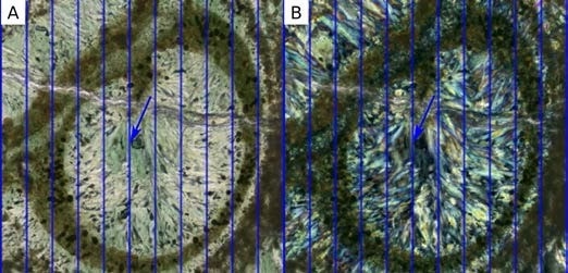 Multichannel acquisition with automated computer-vision based channel registration. Blue lines show the image grid. Image features are perfectly aligned between plane polarized (A) and cross polarized (B) channels.