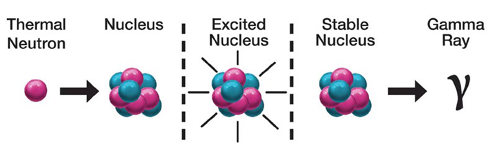 Schematic illustrating the principle of measurement of PGNAA