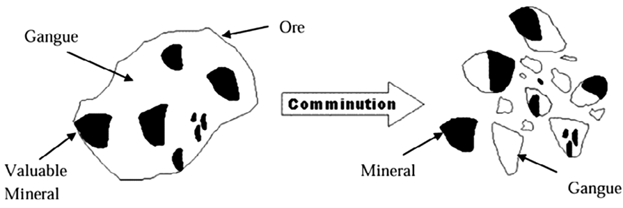 Valuable mineral grains are heterogeneously distributed in blasted, crushed mineral ore making comminution essential to their release.