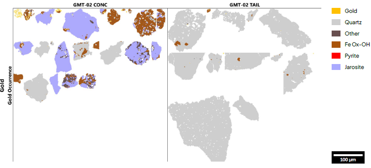 Gold grain occurrences in GMT-02 Concentrate and Tail. Each grid box is 1000 µm × 1000 µm. TIMA measurement resolution = 0.5 µm.