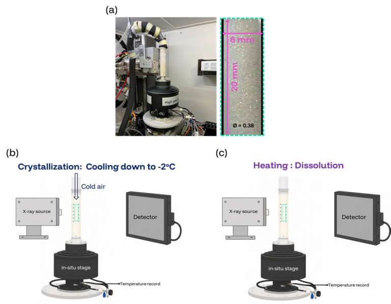 Experimental workflow. (a) Picture of the in-situ stage on the Tescan UniTOM® HR. Right: picture of the sintered glass sample, enlarged for representation. Bottom: schematic view of the experimental set up during (b) crystallization, (c) dissolution.