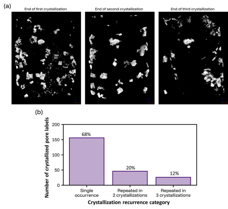 Crystallization patterns after each crystallization stage. (a) 3D representation of salt volume within the pore space, and (b) recurrence across crystallizations cycles