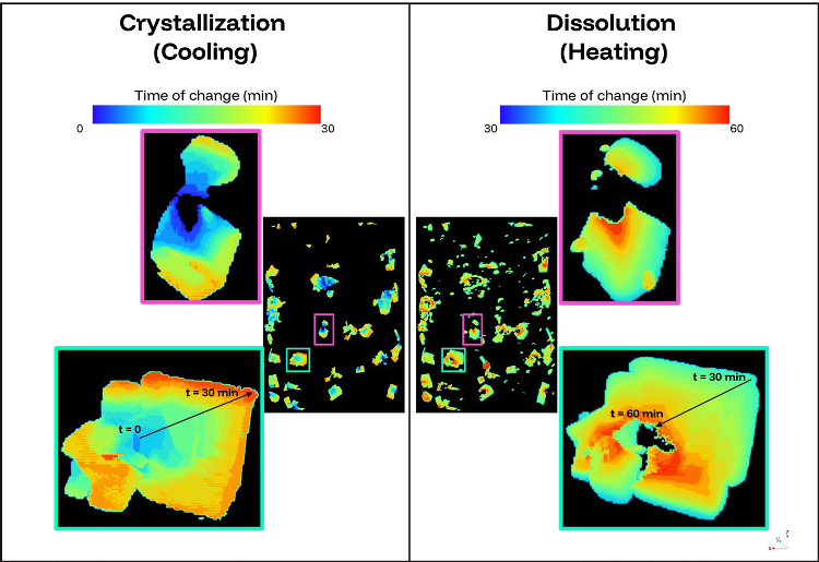 Flip point analysis used to visualize the spatial and temporal evolution of one crystallization dissolution cycle. The cooling stage (left) indicates voxel-level increases associated with crystallization. The dissolution stage (right) highlights voxellevel decreases during warming. The color coding indicates the timing of the changes within crystals. The pink and green boxes show the enlarged views of the selected regions to illustrate the local progression of crystallization and dissolution in detail
