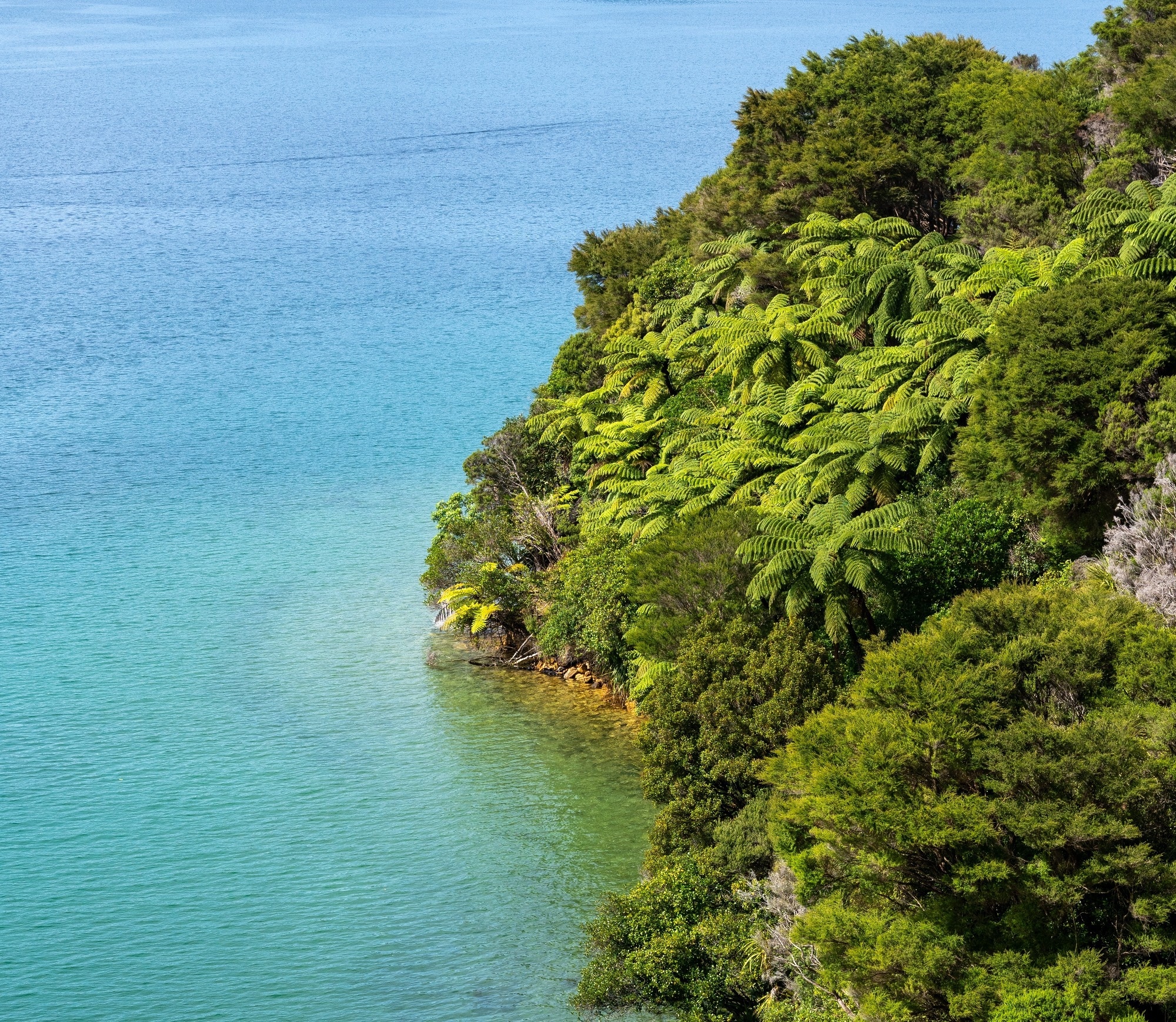Endeavor Inlet, New Zealand