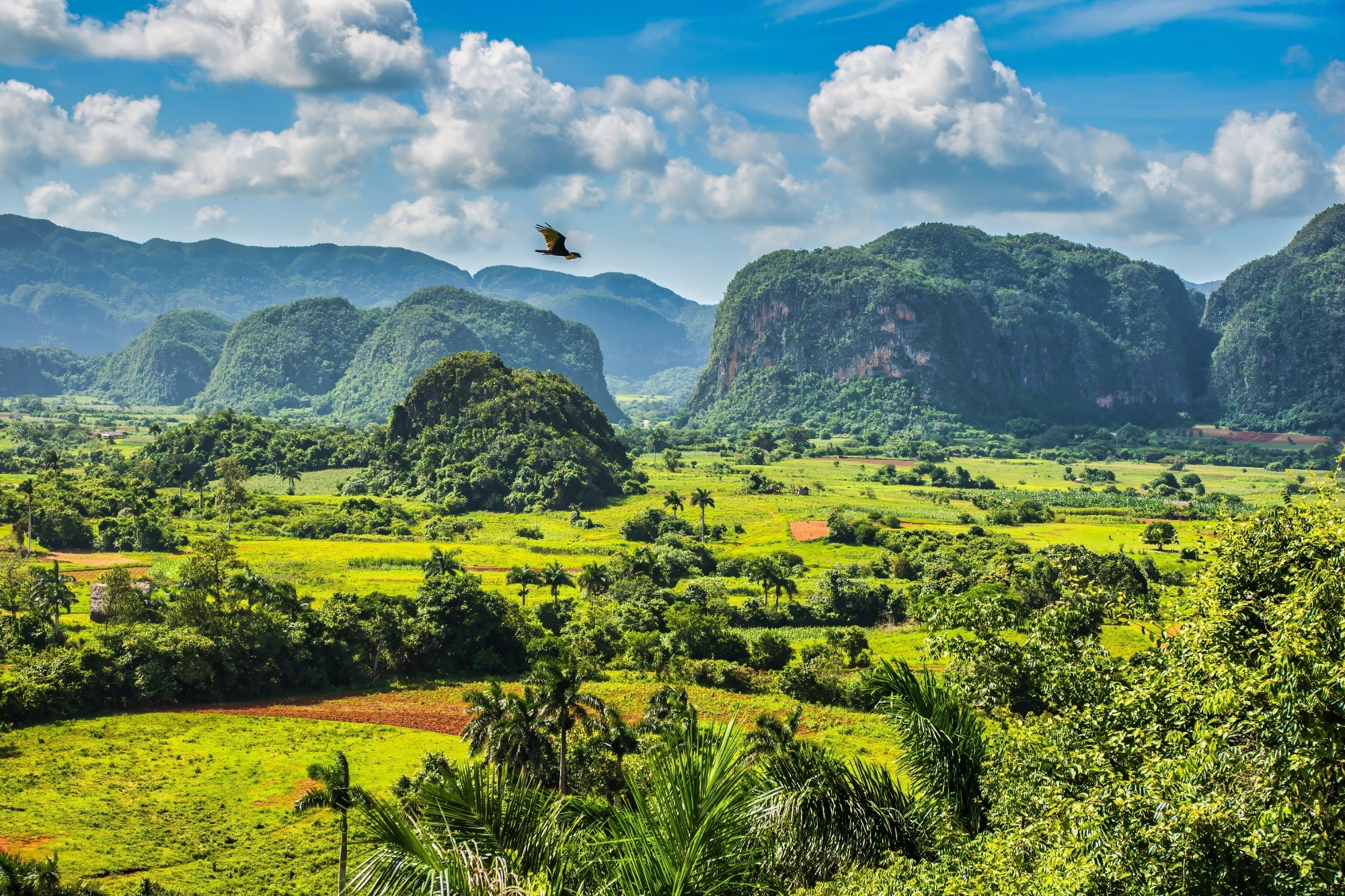 beautiful cuban green landscape