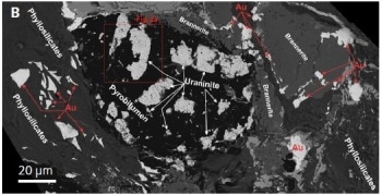 Visualizing the Formation of Uranium and Gold Ore Related to Fossil Hydrocarbons in the Witwatersrand Basin