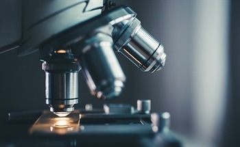 How Are Minerals Identified Using Optical Microscopy?