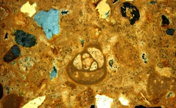 What is Thin-Section Microscopy?