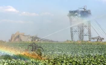 Can Agriculture and Mining Industries Exist Together?