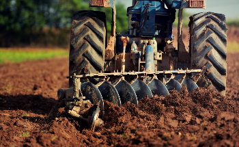 How Minerals in the Soil Affect Agriculture?