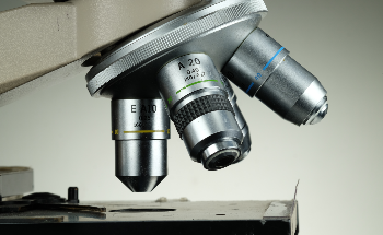Using Optical Microscopy for Petrographic Analysis