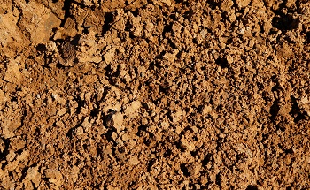 Examining Clay Morphology and Composition with Electron Microscopy