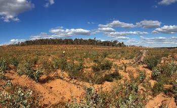 Post-Mining Ecosystem Restoration: Measuring its Success