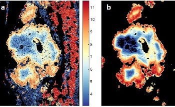 How to Perform Quantitative Geochemical Mapping and Petrological Analysis