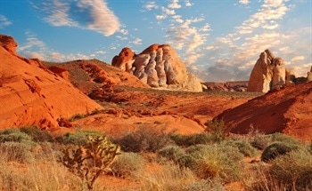 Gold In Nevada: An Interview With Ken Cunningham
