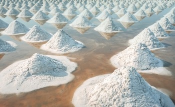 Why Seawater Desalination Brine Is a Hidden Source of Essential Raw Materials