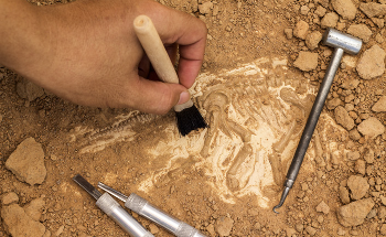 X-Ray Diffraction (XRD) Applications in Geological and Mineralogical Analysis