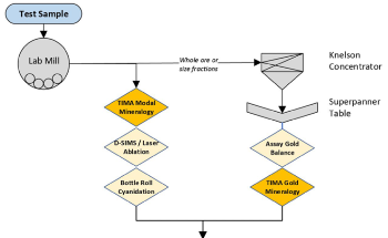 TIMA Applications in Gold Geometallurgy