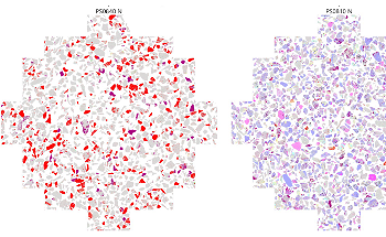 TIMA-Based Ore Characterization and Mineral Analysis