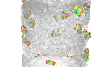 Visualizing Cooling-Induced Crystallization with Dynamic Micro-CT