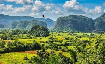 Cuba: Mining, Minerals and Fuel Resources