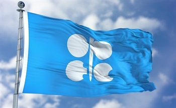 What is the Organisation of the Petroleum Exporting Countries (OPEC)?