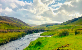 Scotlandite - Occurrence, Properties, and Distribution