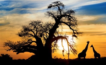 South Africa: Mining, Minerals and Fuel Resources