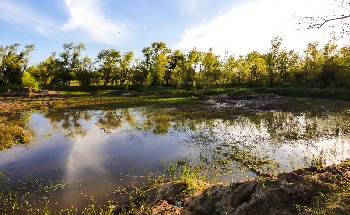 Uruguay: Mining, Minerals, and Fuel Resources