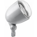 VR300F Flood Lighting from RAB Lighting
