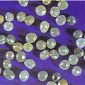 Industrial Diamonds From Dev Group