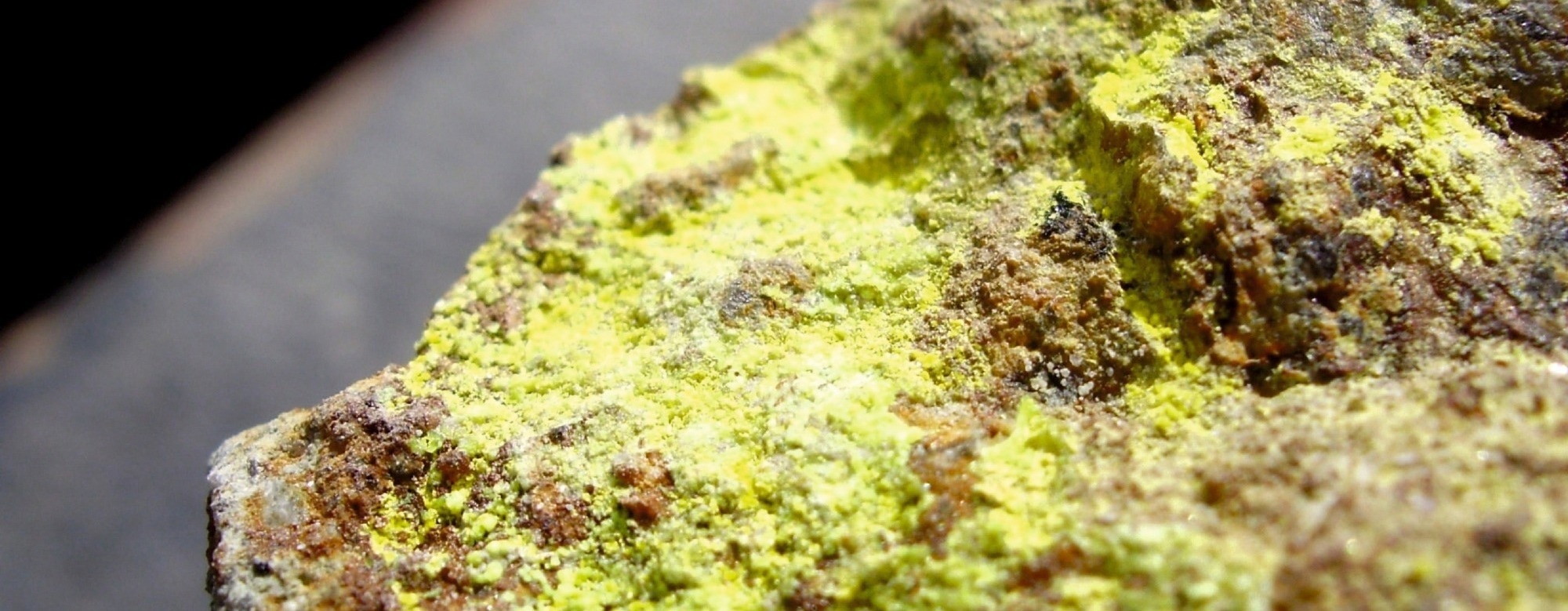 Electrochemical Tech Advances Uranyl Extraction from Seawater and Wastewater