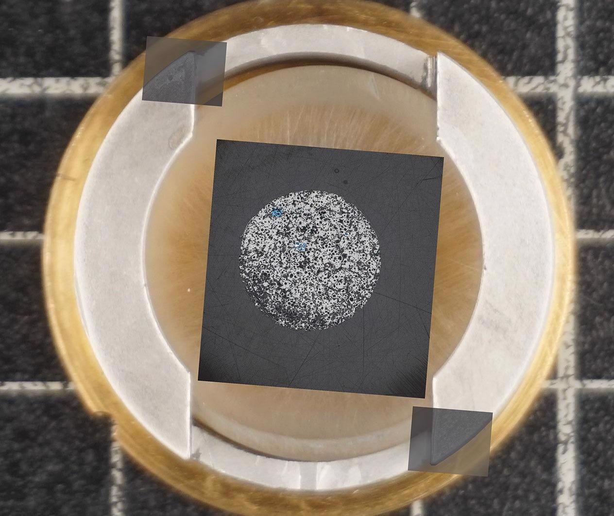 ZEISS ZEN Connect Software for Imaging Technologies