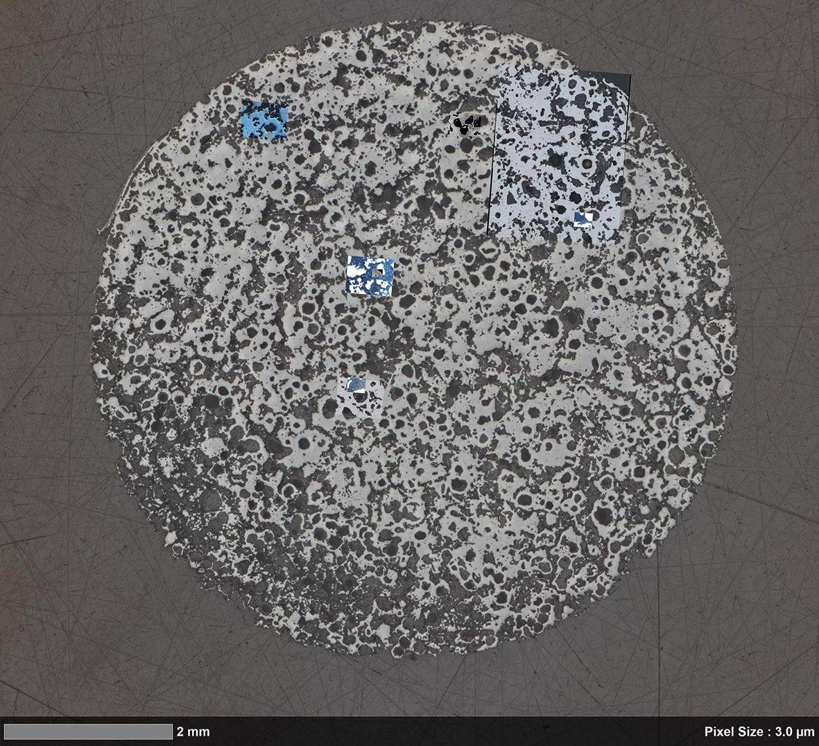 Large-scale overview, acquired with ZEISS Axio Imager.