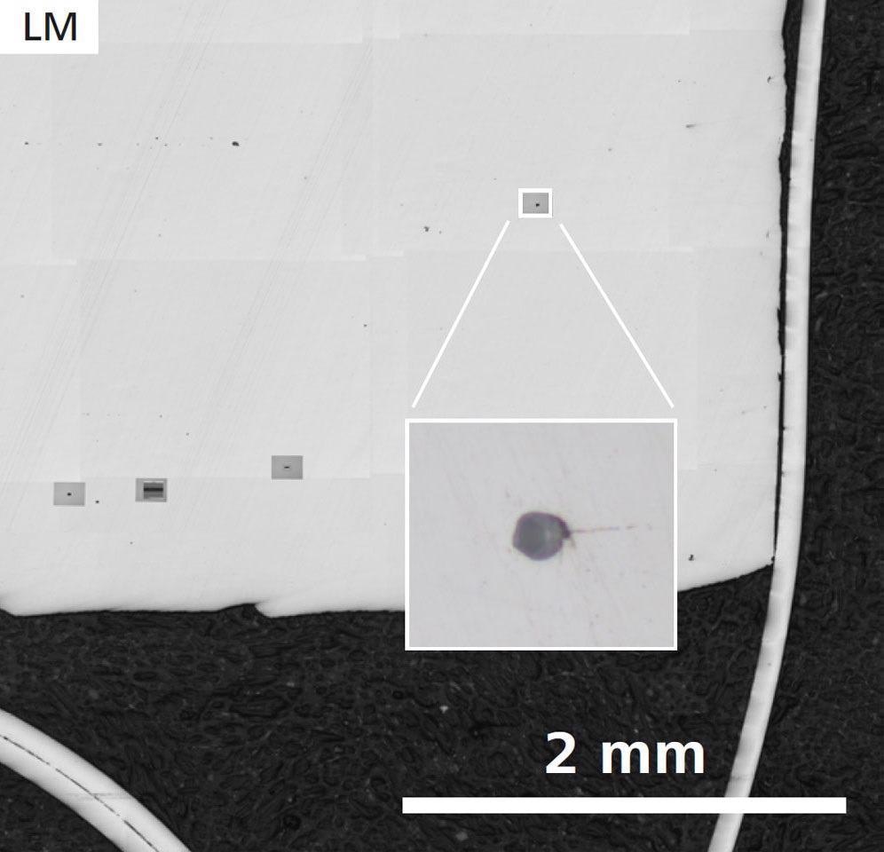 First sample, without Ca treatment: Sample Overview and detail of one inclusion (inset) acquired by ZEISS Axio Observer.