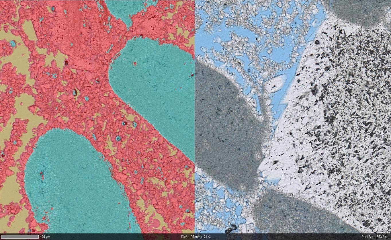 Overlay of segmented (left) high resolution light microscopy data (right) showing the pore structure in more detail.