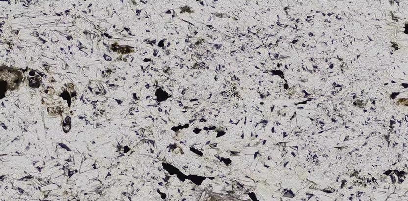Plane Polarized Light (PPL).