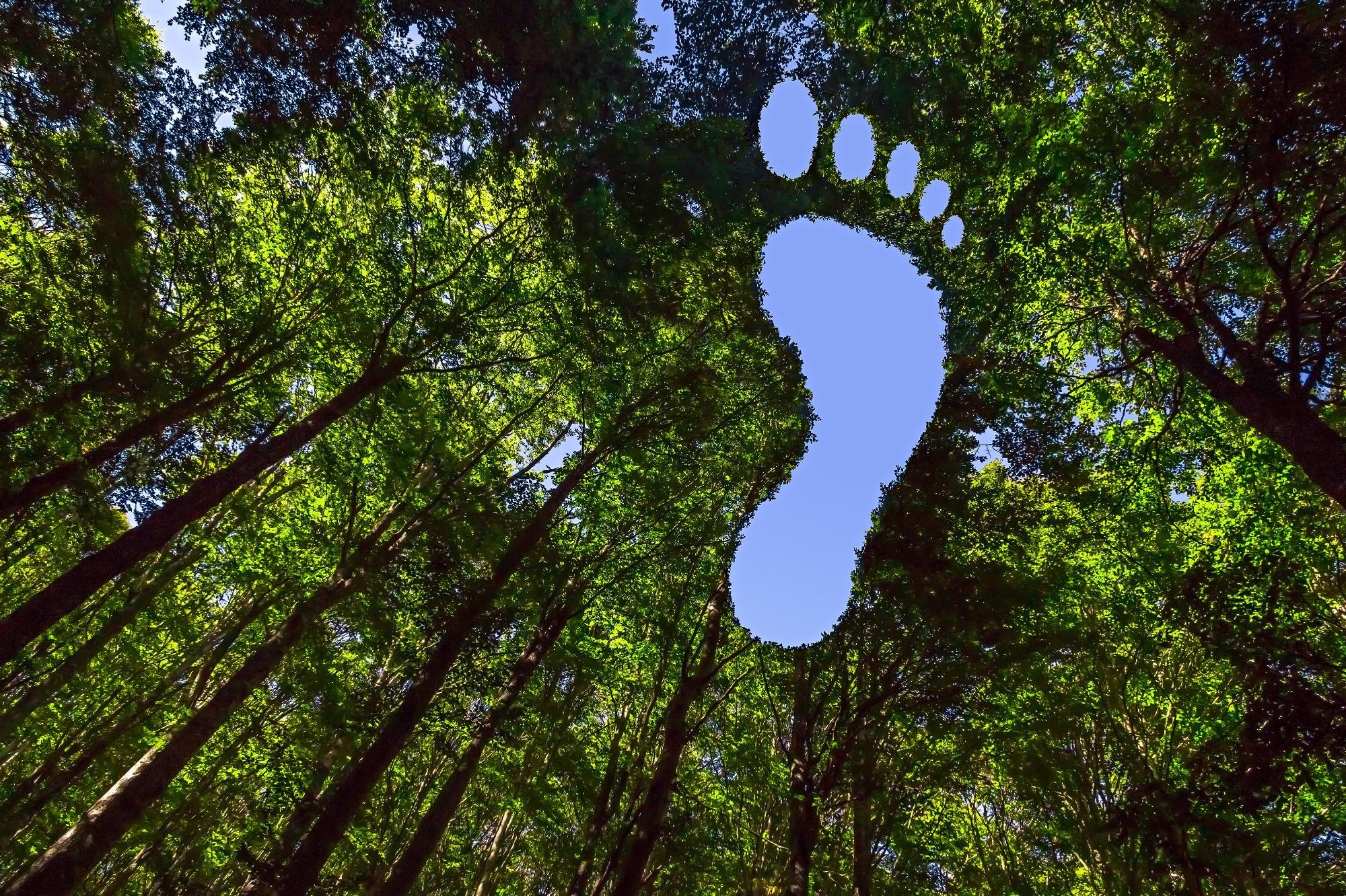 Generation Mining Announces Receipt of Independent Report on Operational Carbon Footprint.