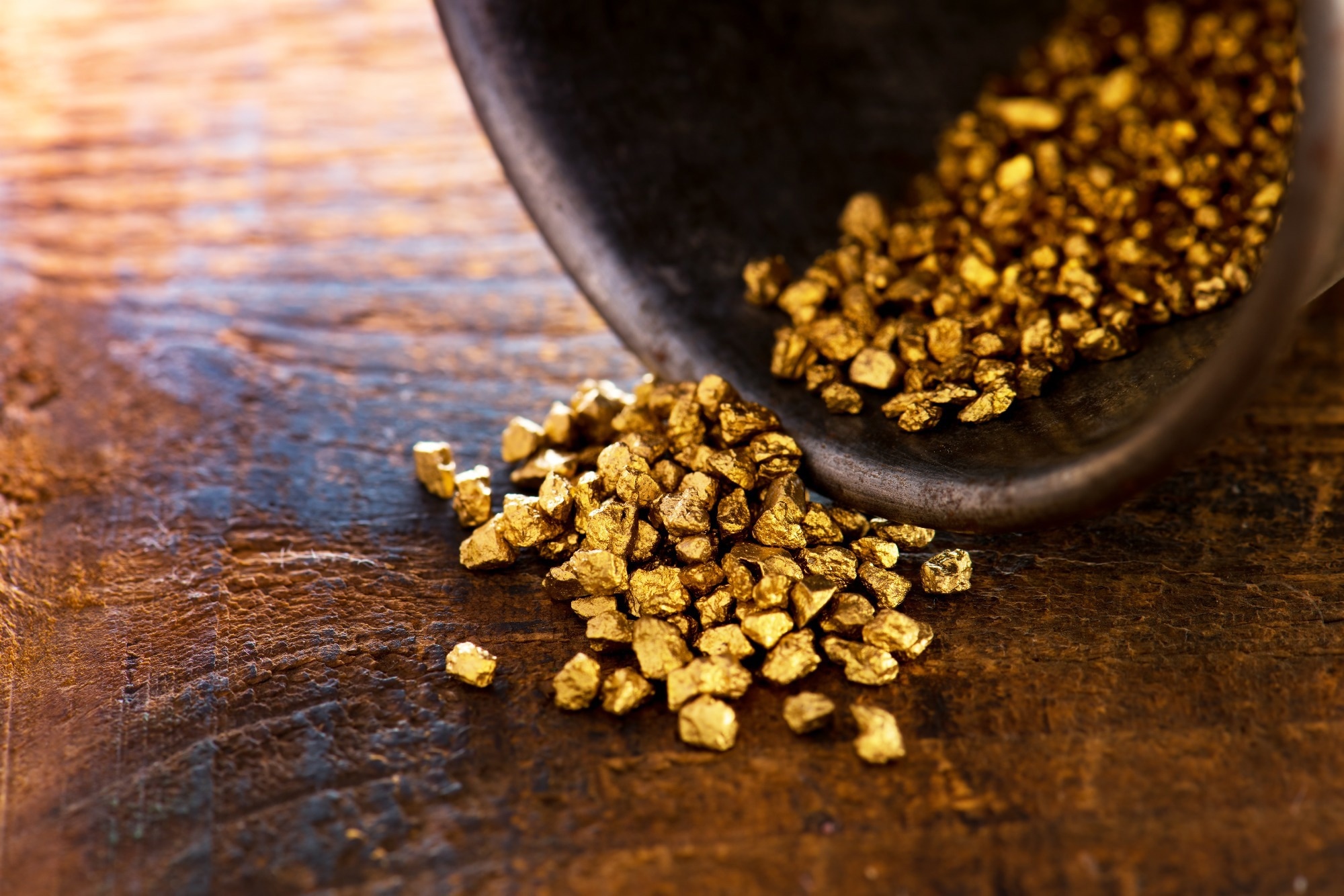 Revival Gold Gives Update on Beartrack-Arnett Gold Project.