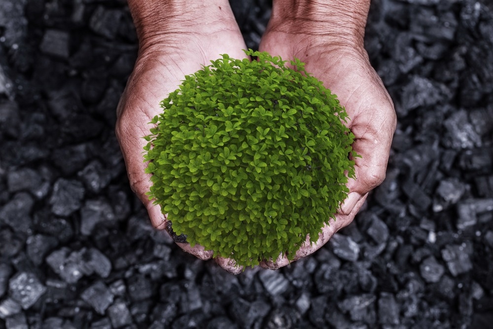 mining sustainability